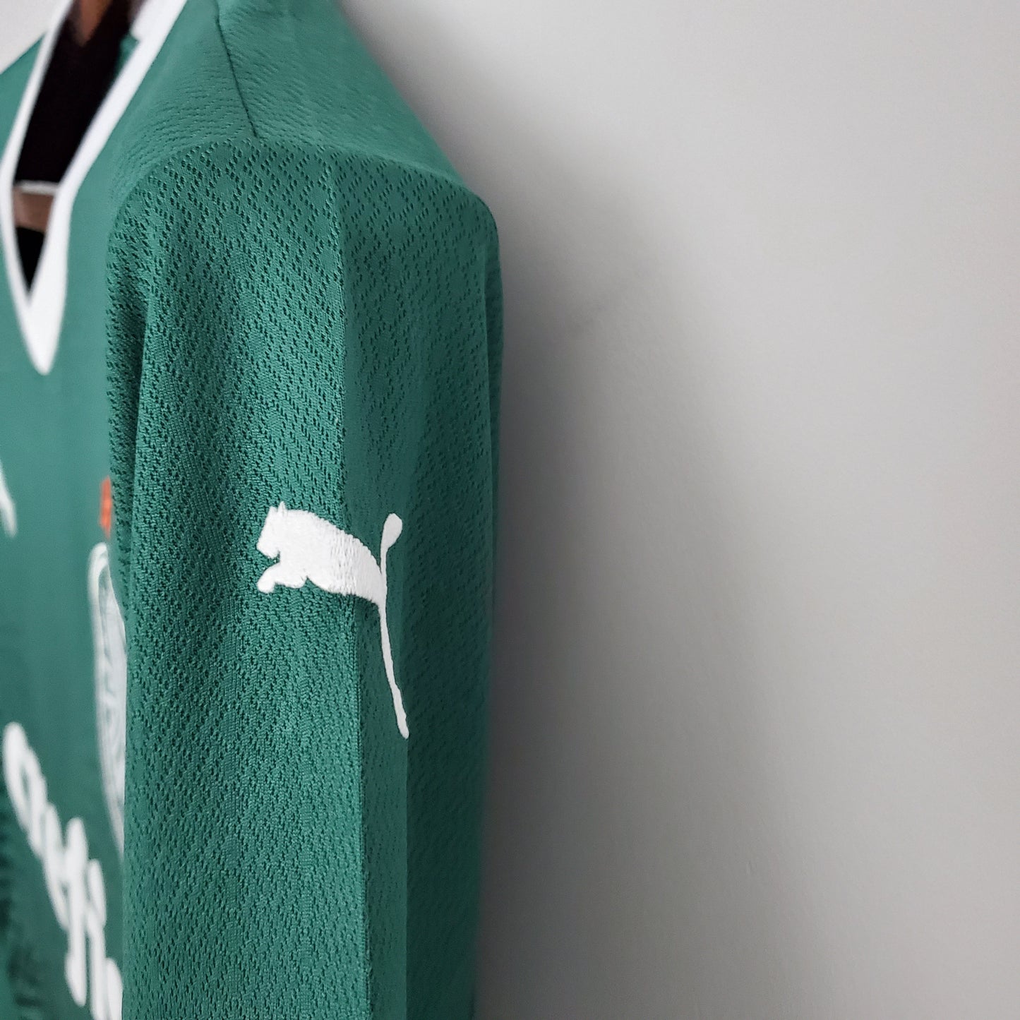 Palmeiras 23/24 Home