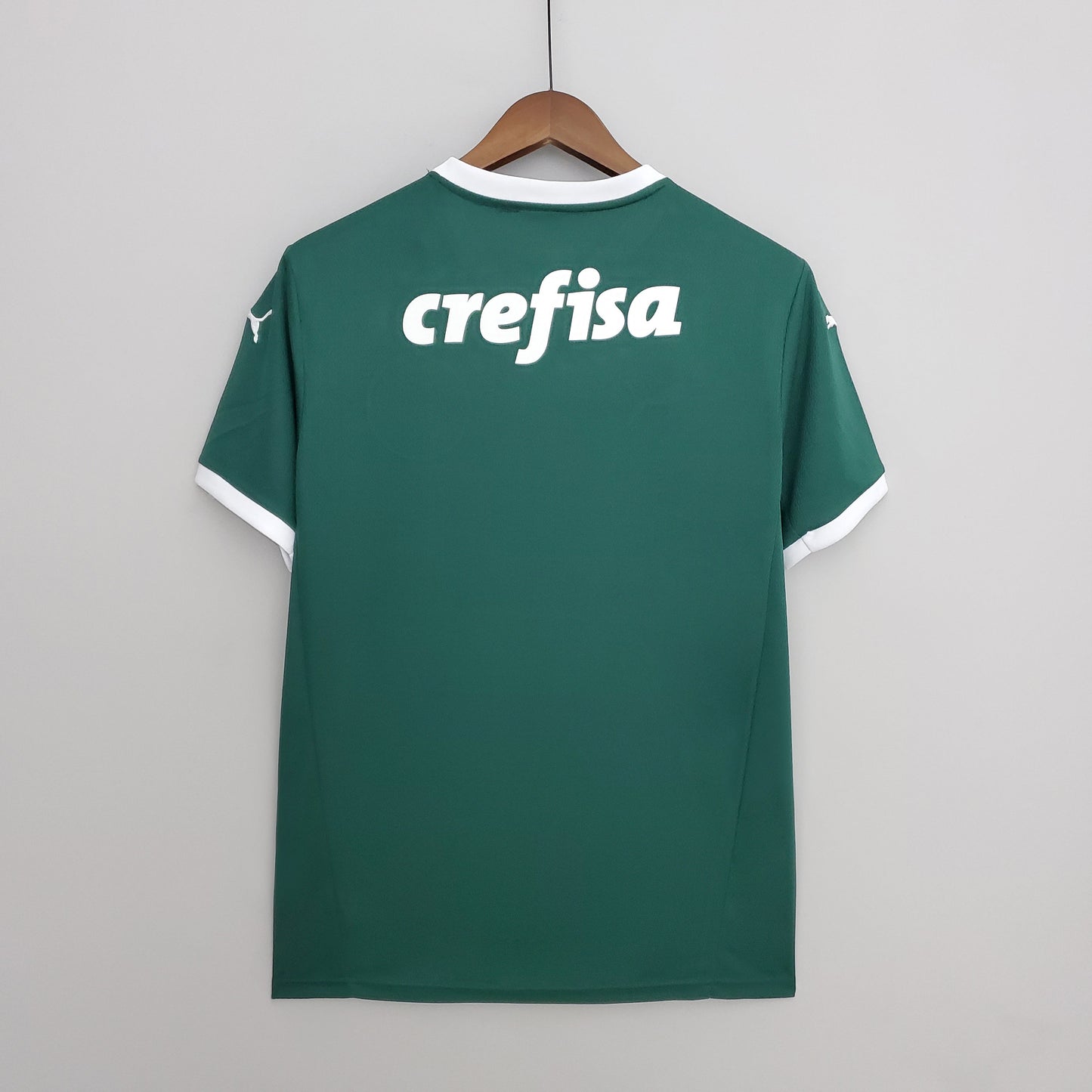 Palmeiras 23/24 Home