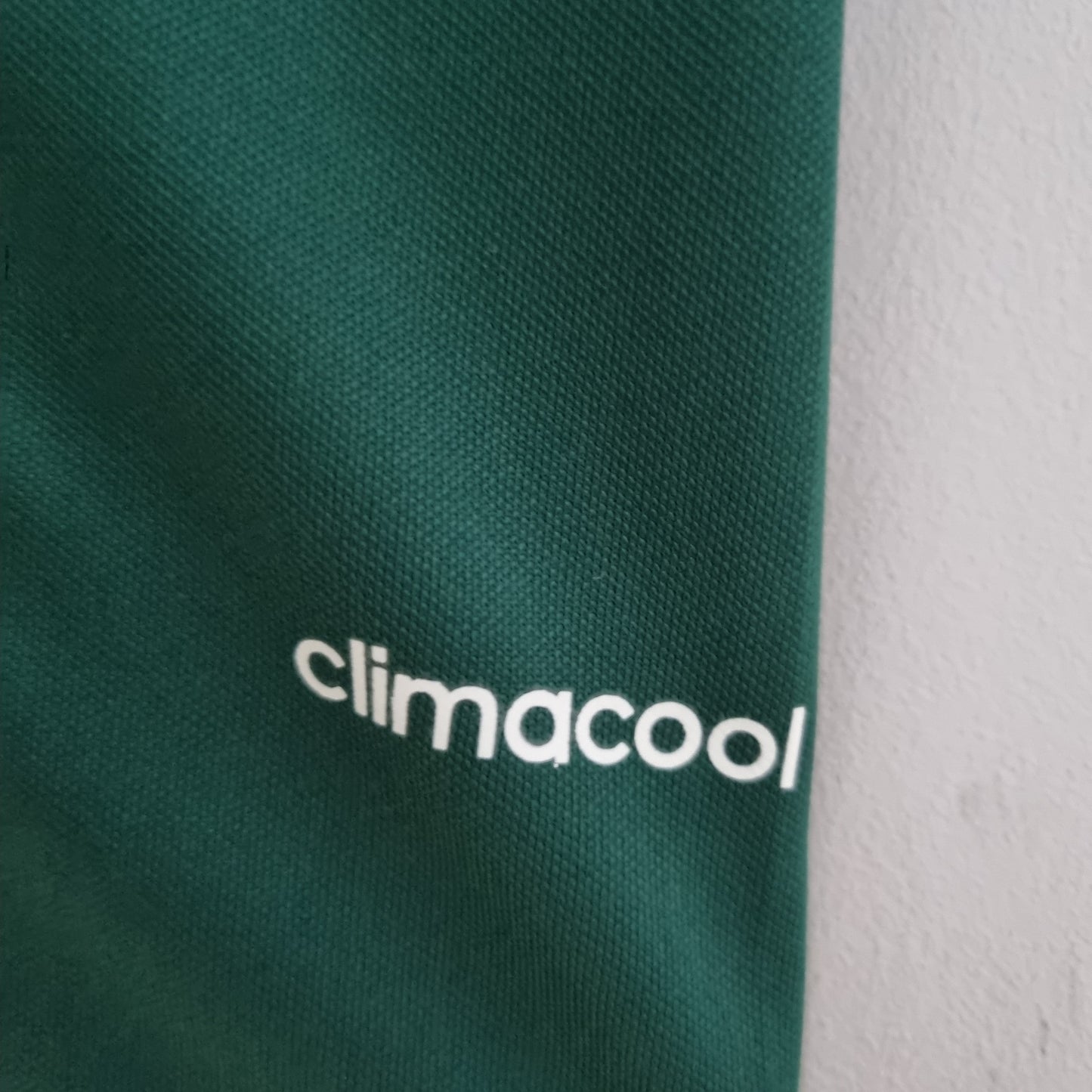 Palmeiras 14/15 Retro Home