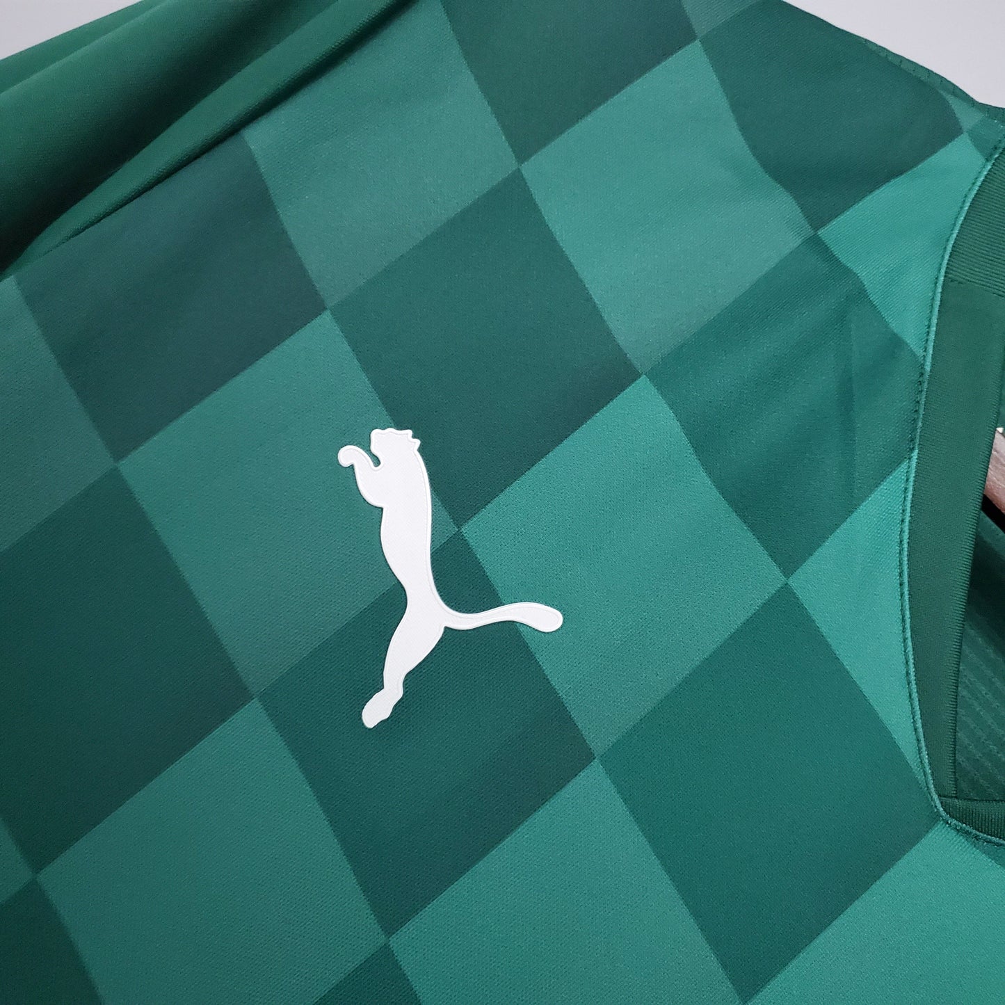 Palmeiras 21/22 Home