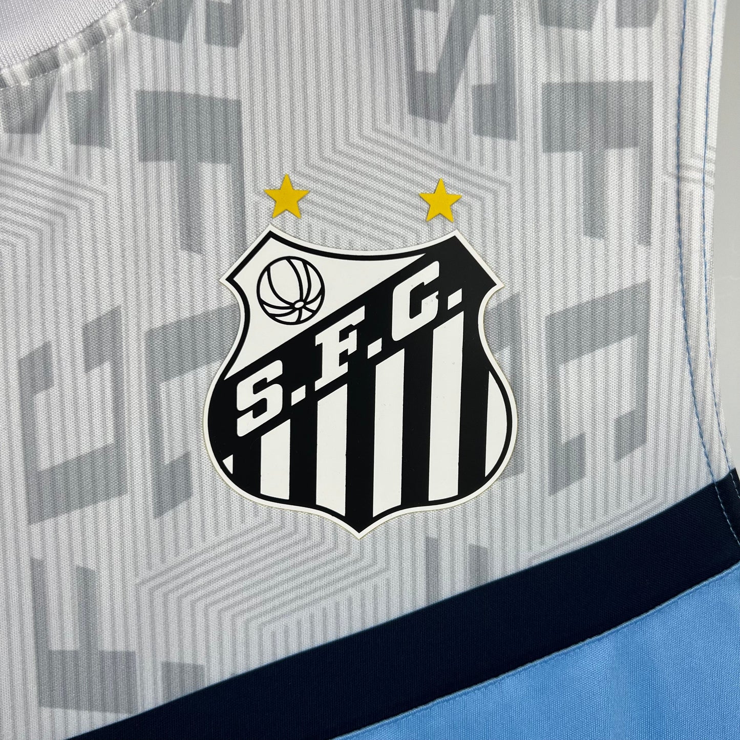 23/24 Gremio vest training suit