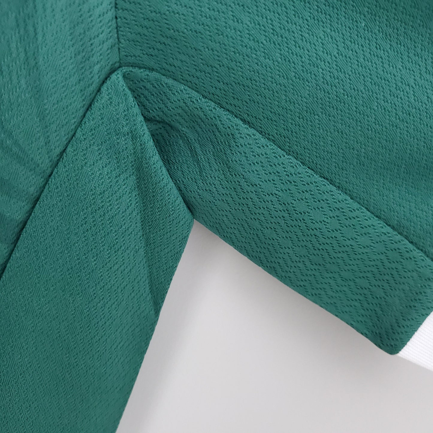 Palmeiras 23/24 Home