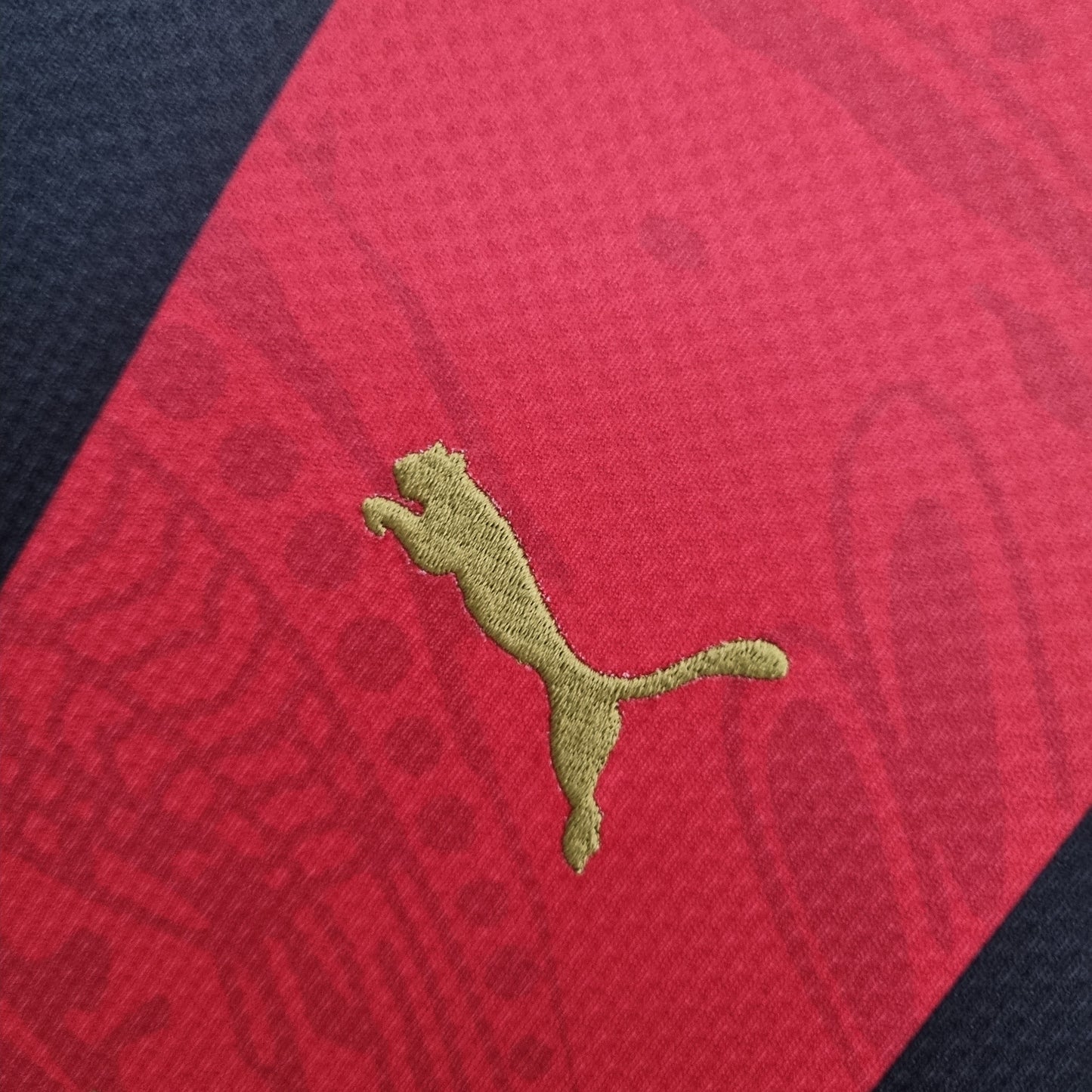 22/23 AC Milan Special Edition Red Black
