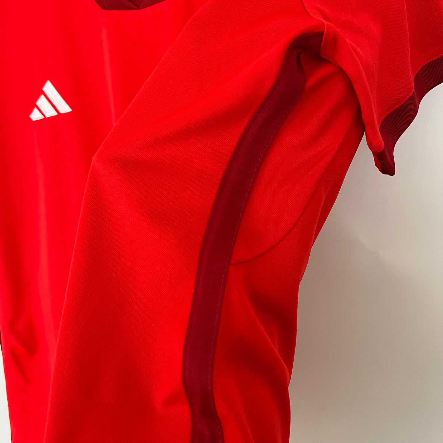 Internacional 23/24 Feminino Home