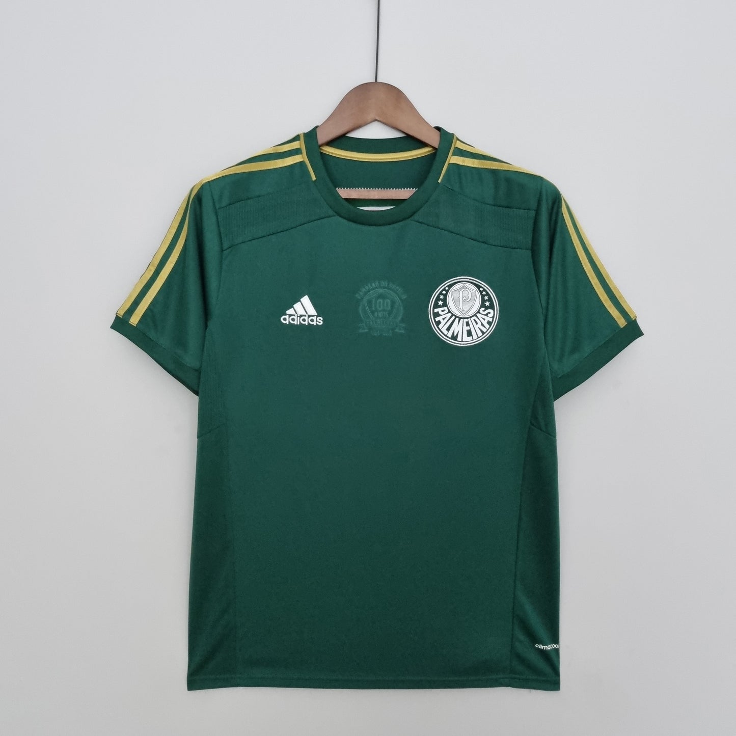 Palmeiras 14/15 Retro Home