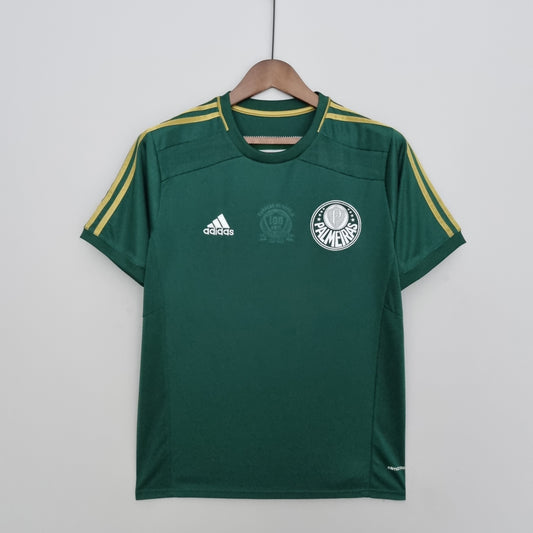 Palmeiras 14/15 Retro Home