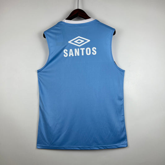 23/24 Gremio vest training suit