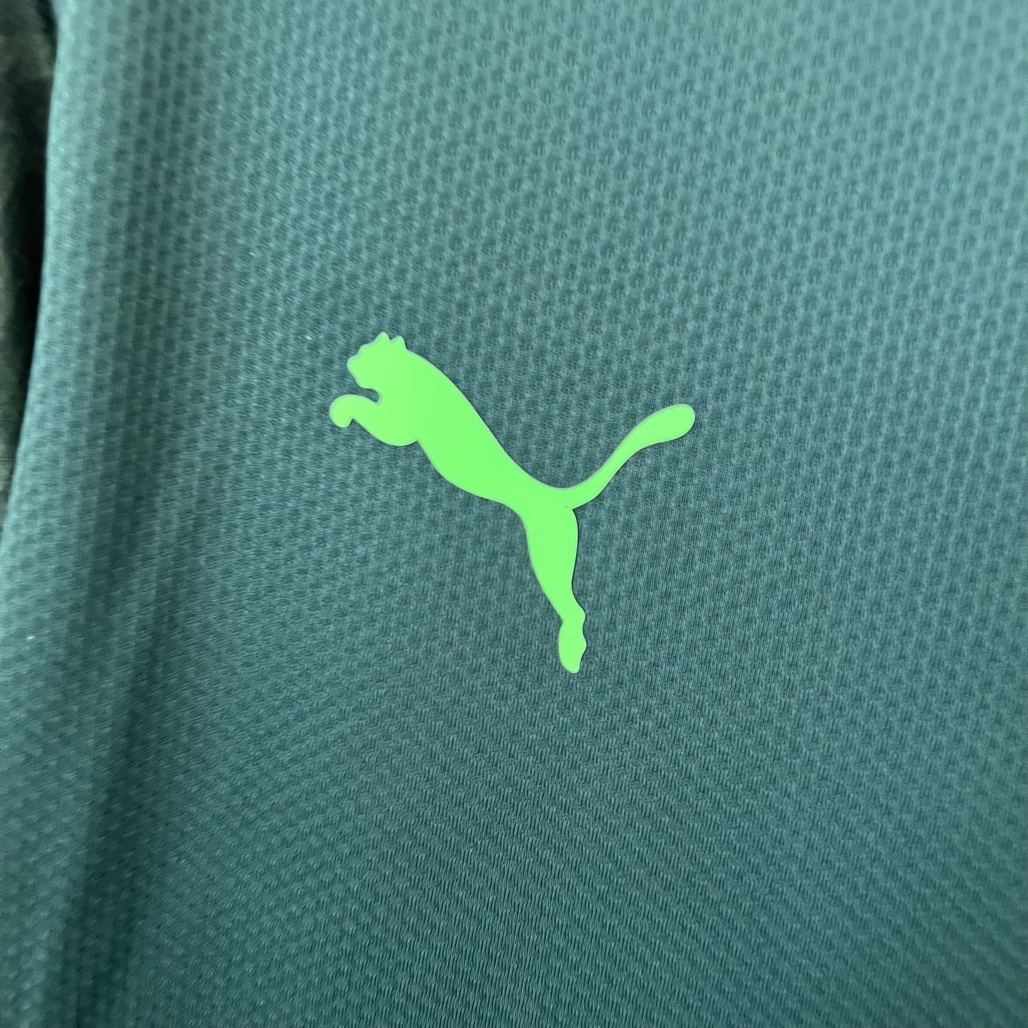 Palmeiras 20/12 Retro Third Away