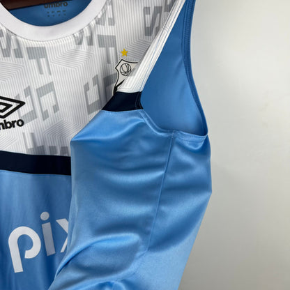 23/24 Gremio vest training suit