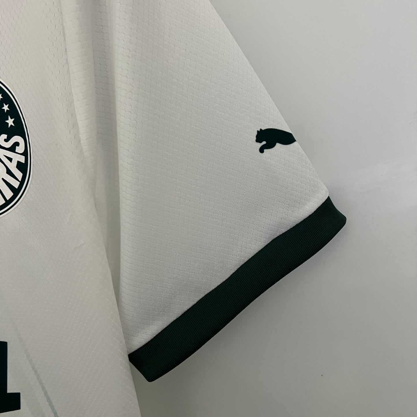 Palmeiras 23/24 Away