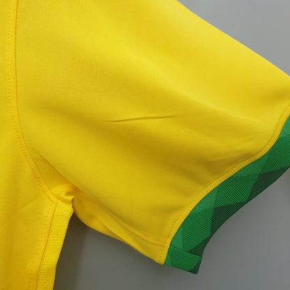 2020 Brasil home