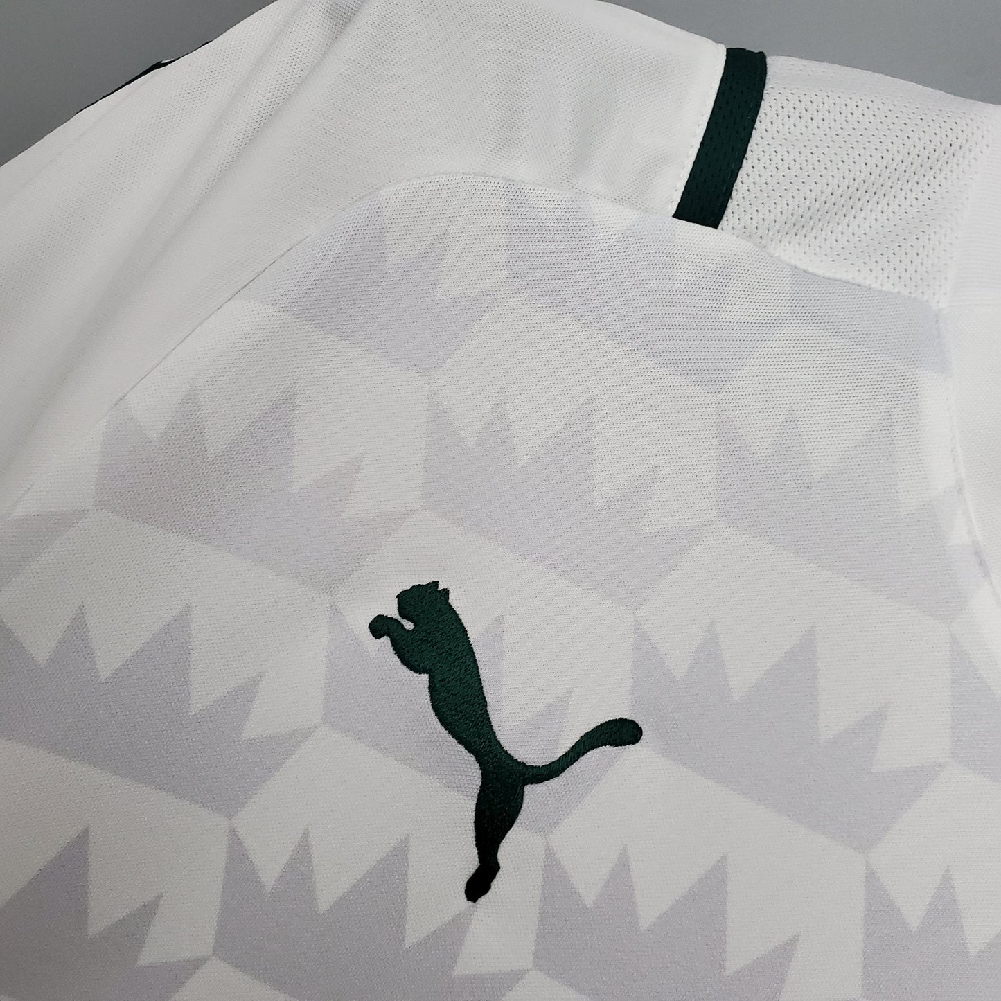 Palmeiras 21/22 Away